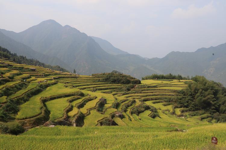 梅源梯田景区-图1