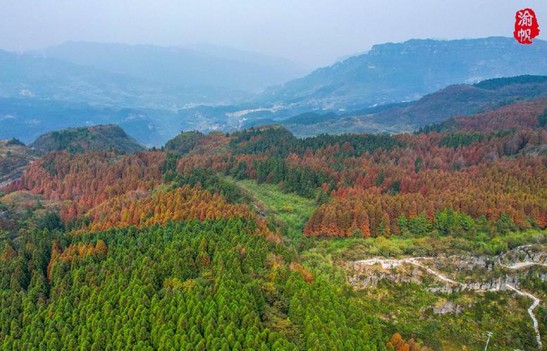 南川马王坪景区-图2