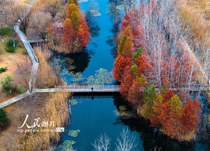 淮安古淮河生态景区-图2