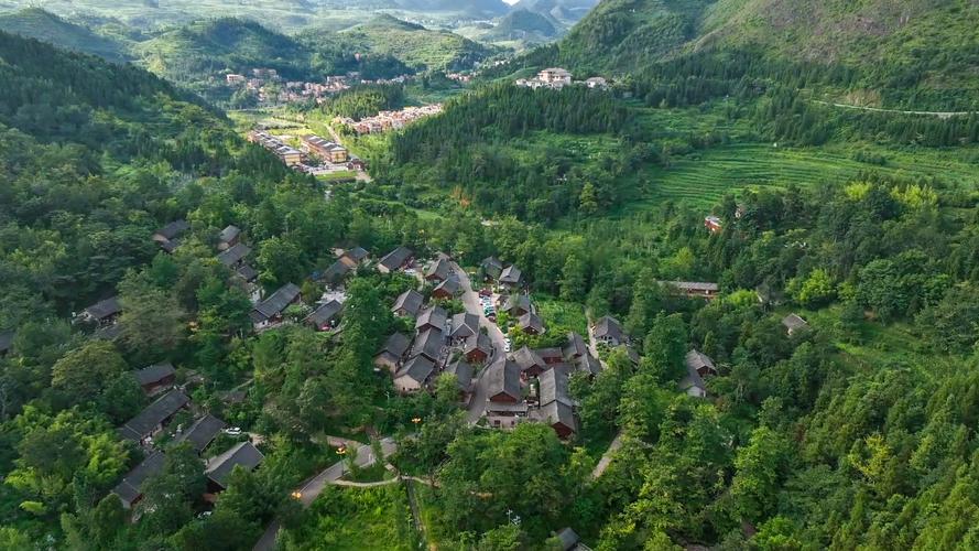 贵州银杏风景区-图3