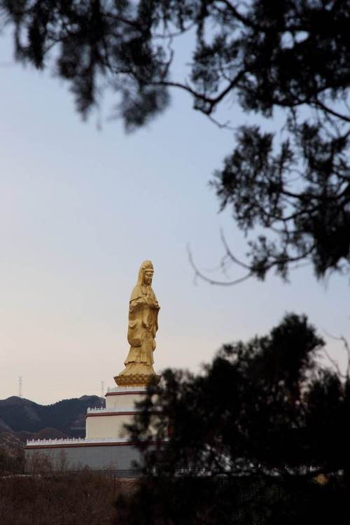 天龙源风景区-图2