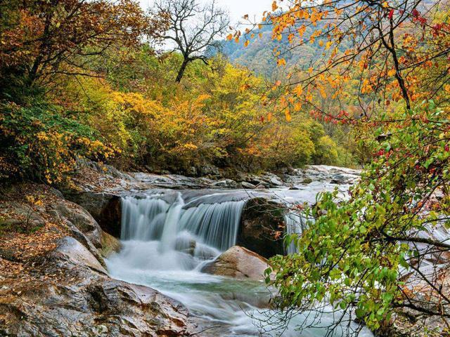 黄柏坨风景区-图3