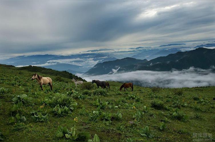 雅安轿顶山景区-图2