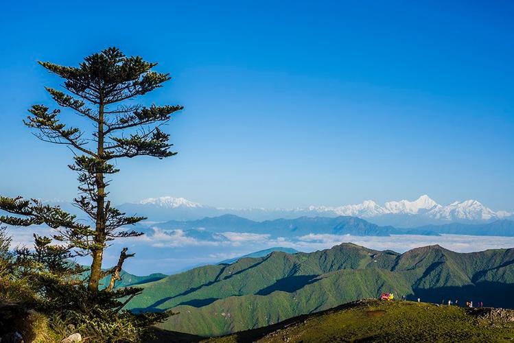 雅安轿顶山景区-图3