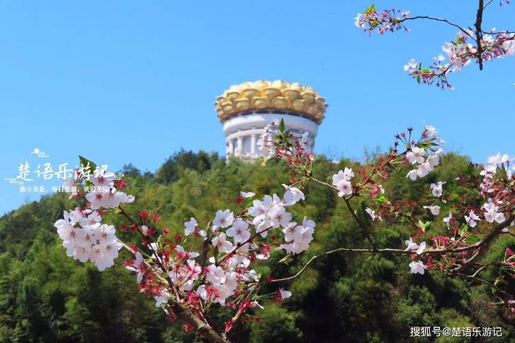 浙江那里好玩的景区-图1