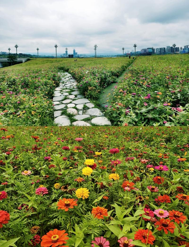 兴隆花海景区门票-图2