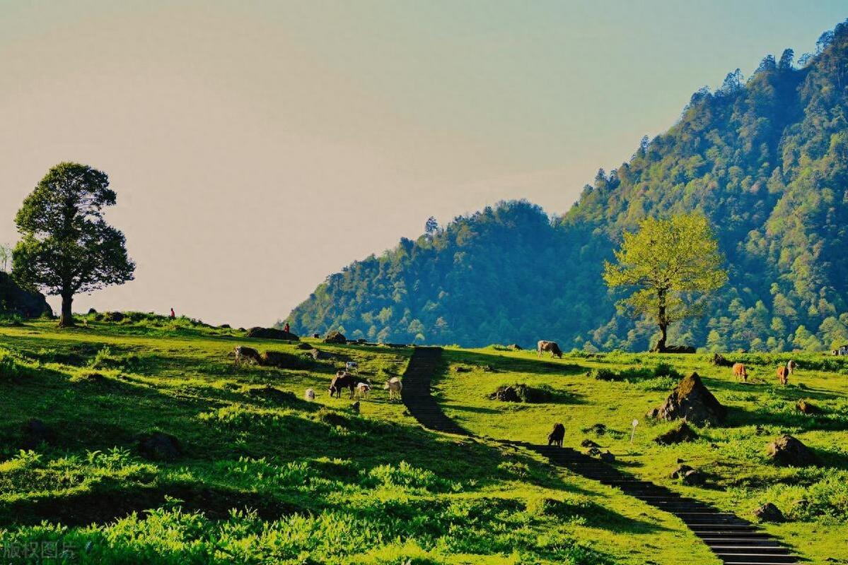 峨边风景区-图1