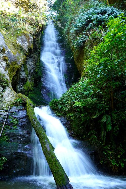 高黎贡山景区-图2