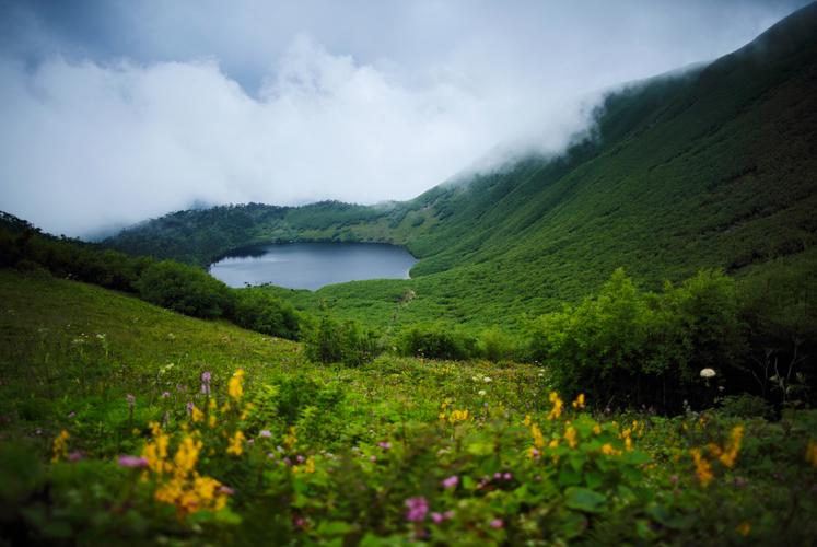 高黎贡山景区-图1