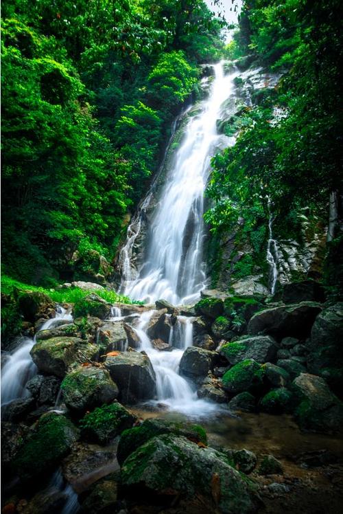 神农谷风景区-图2