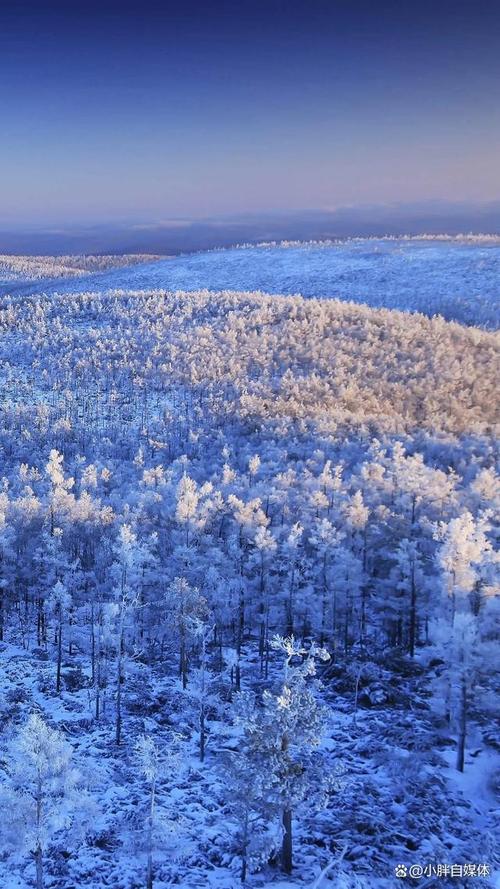 有雪的风景区-图1