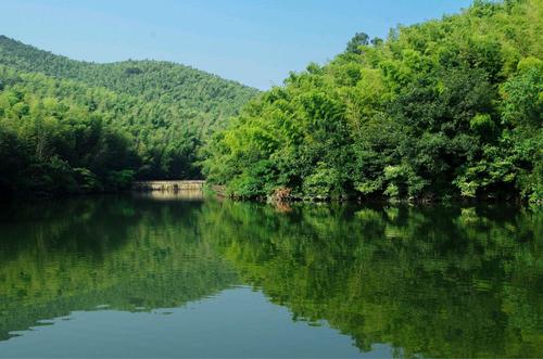 江宁石塘竹海景区-图3