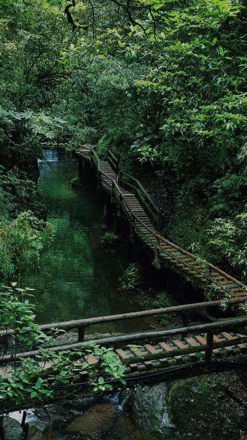 青城山后山景区-图2