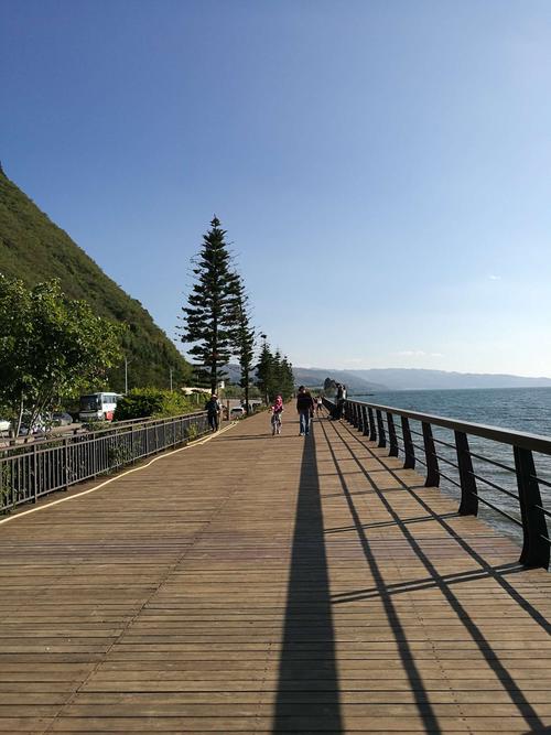 澄江樱花谷风景区-图3