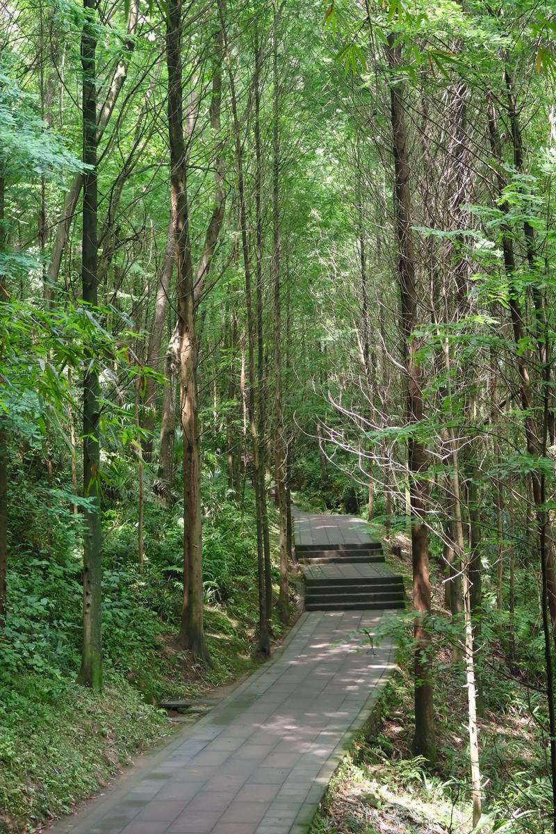 凤栖山风景区-图3