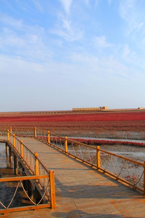 红海滩风景区天气-图3