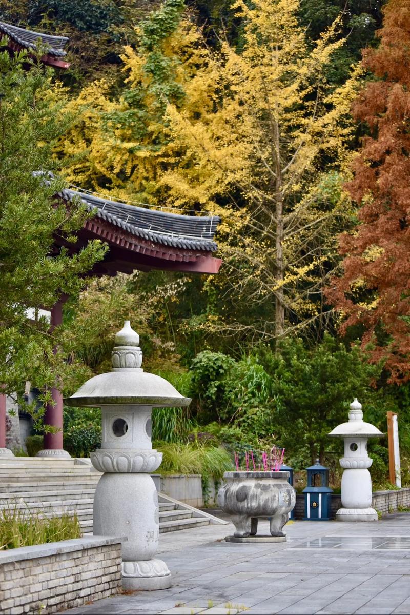 宜丰洞山风景区-图2