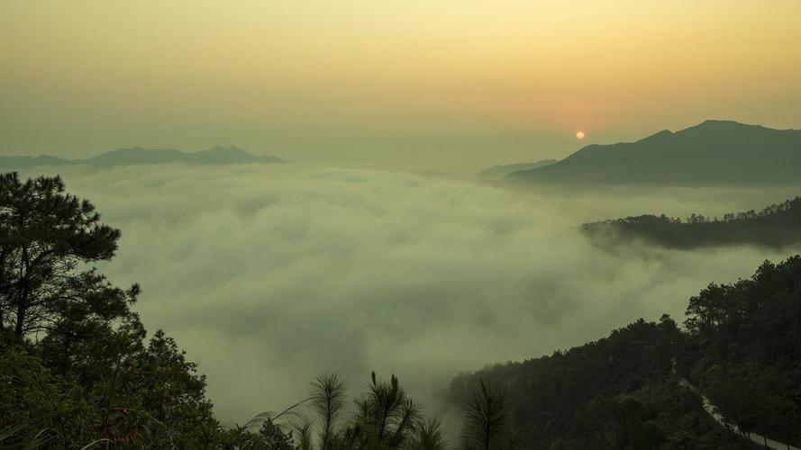 大历山风景区-图3