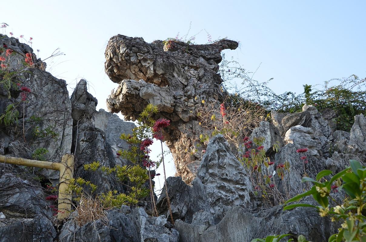 重庆龙鳞石海景区-图1