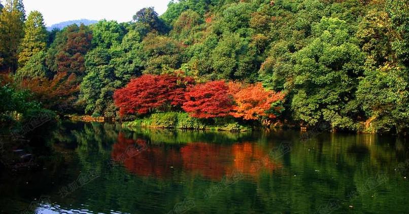 鼎湖山云溪景区-图3