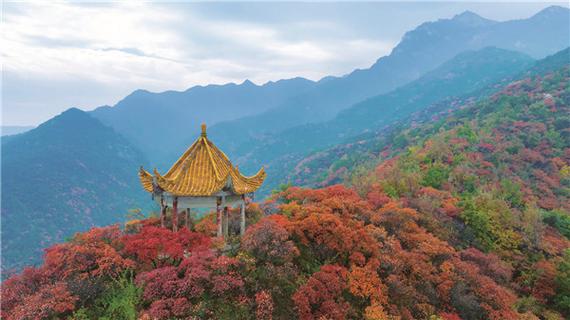 宜阳花果山风景区-图2