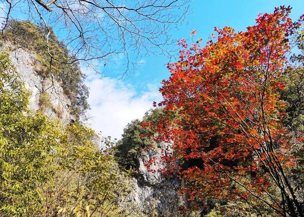 光雾山风景区旅游-图3