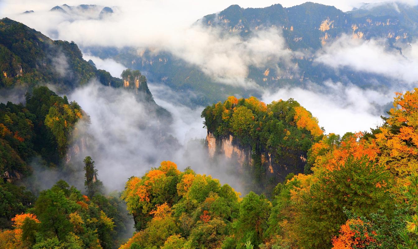 光雾山风景区旅游-图2