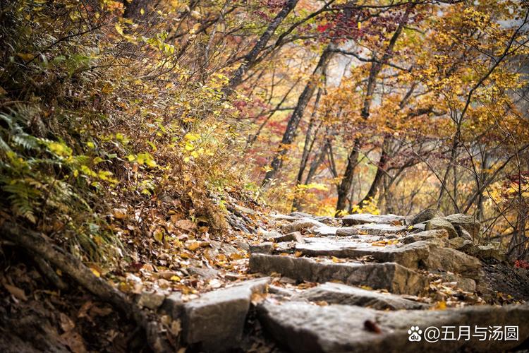 怀柔喇叭沟门风景区-图1