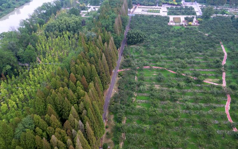 淮安柳树湾风景区简介-图2