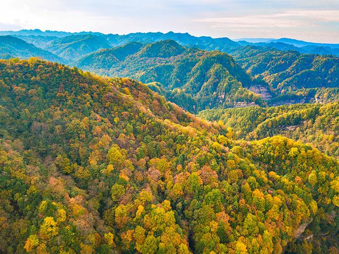 陕西汉中黎坪景区-图1