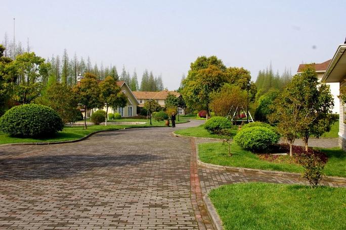 上海嘉定浏岛风景区-图3