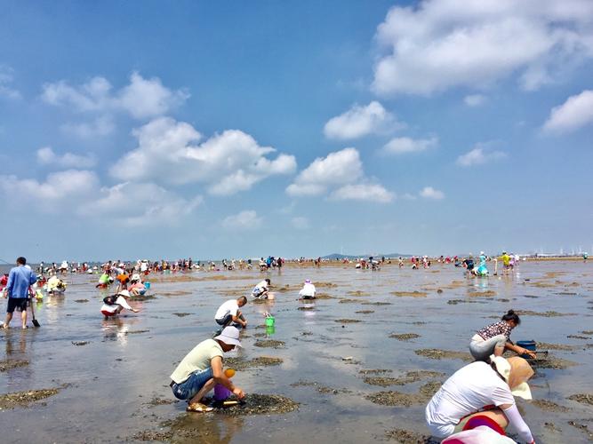 天津赶海拾贝风景区-图1