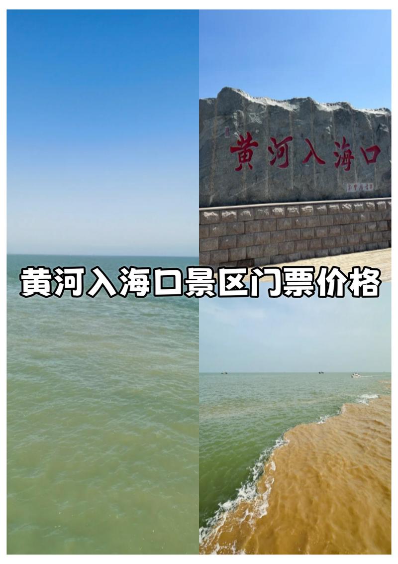 黄河入海口风景区门票-图1