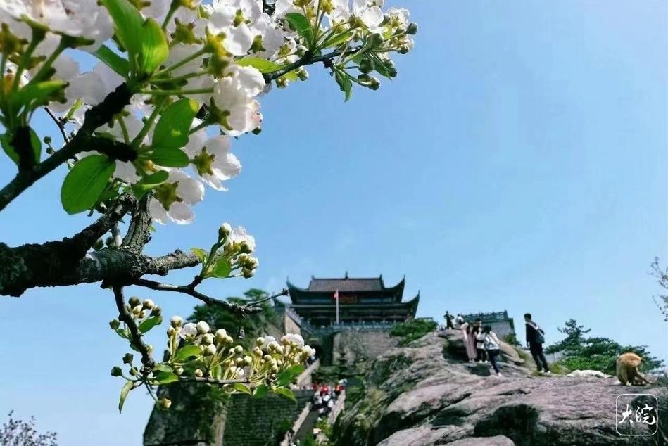 江西九华山风景区在哪里-图2