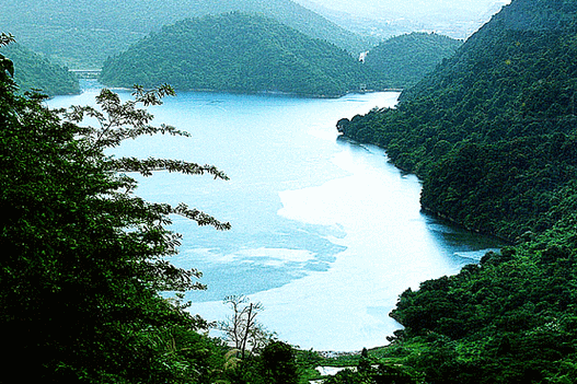 桐木岭景区-图2