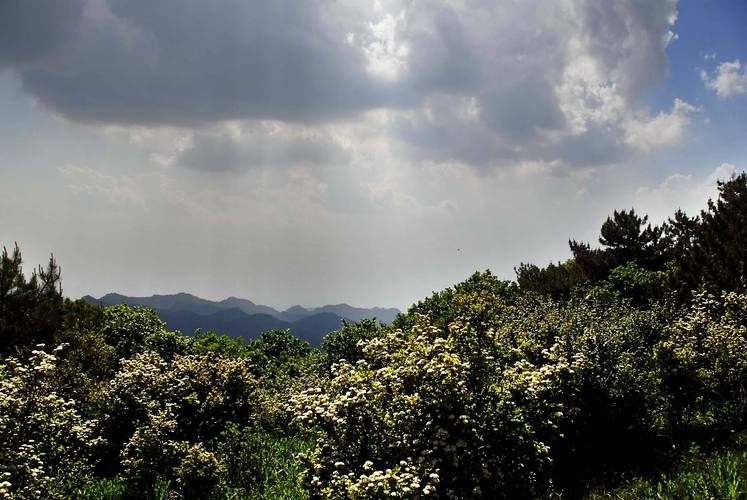 峰顶山景区-图2