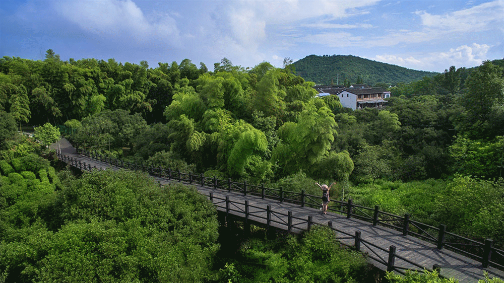 宝树山景区-图2