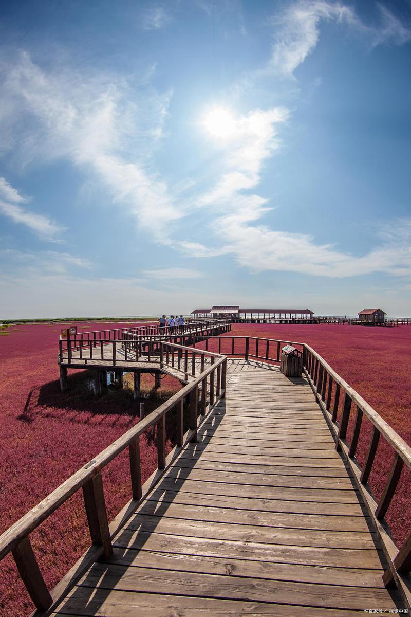 辽宁盘锦景区-图2