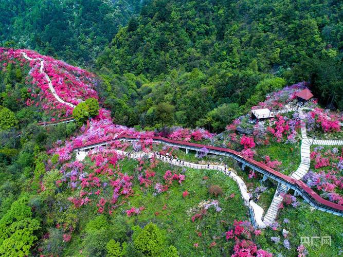 岳西旅游景区-图3