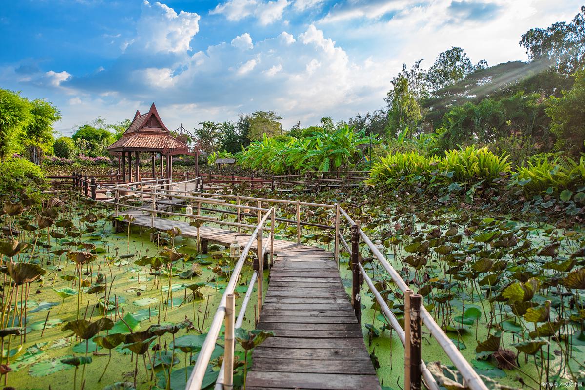 上海金山景区-图1