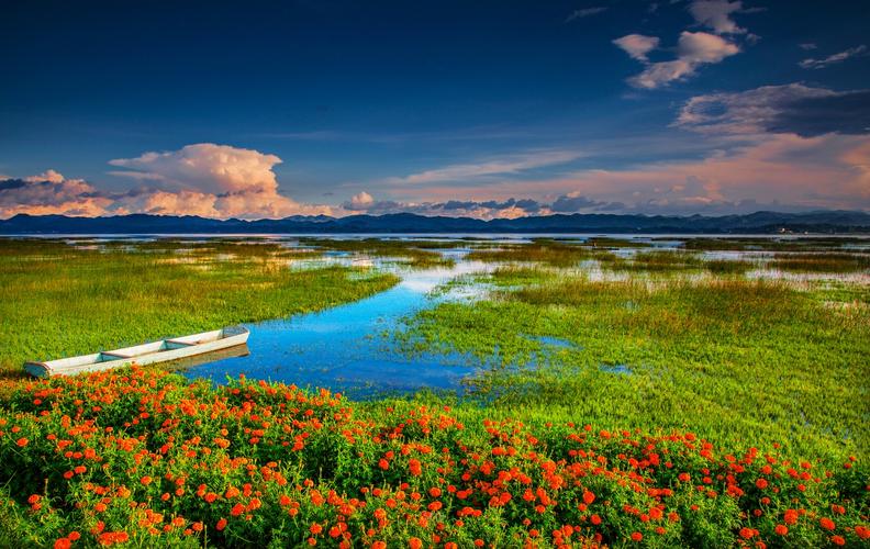 威宁草海景区-图2