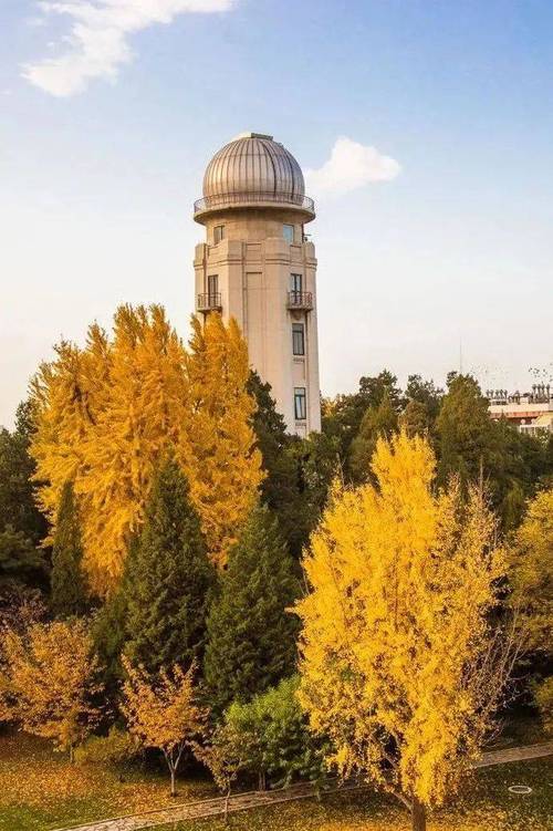 清华大学景区-图3