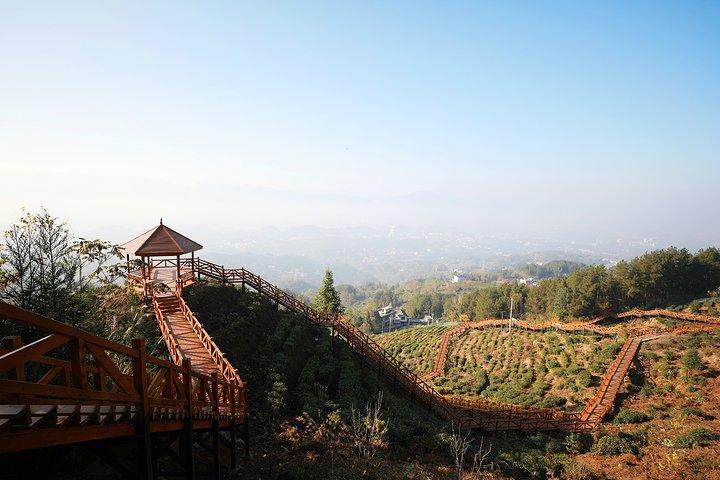 恩施柳州城景区-图1