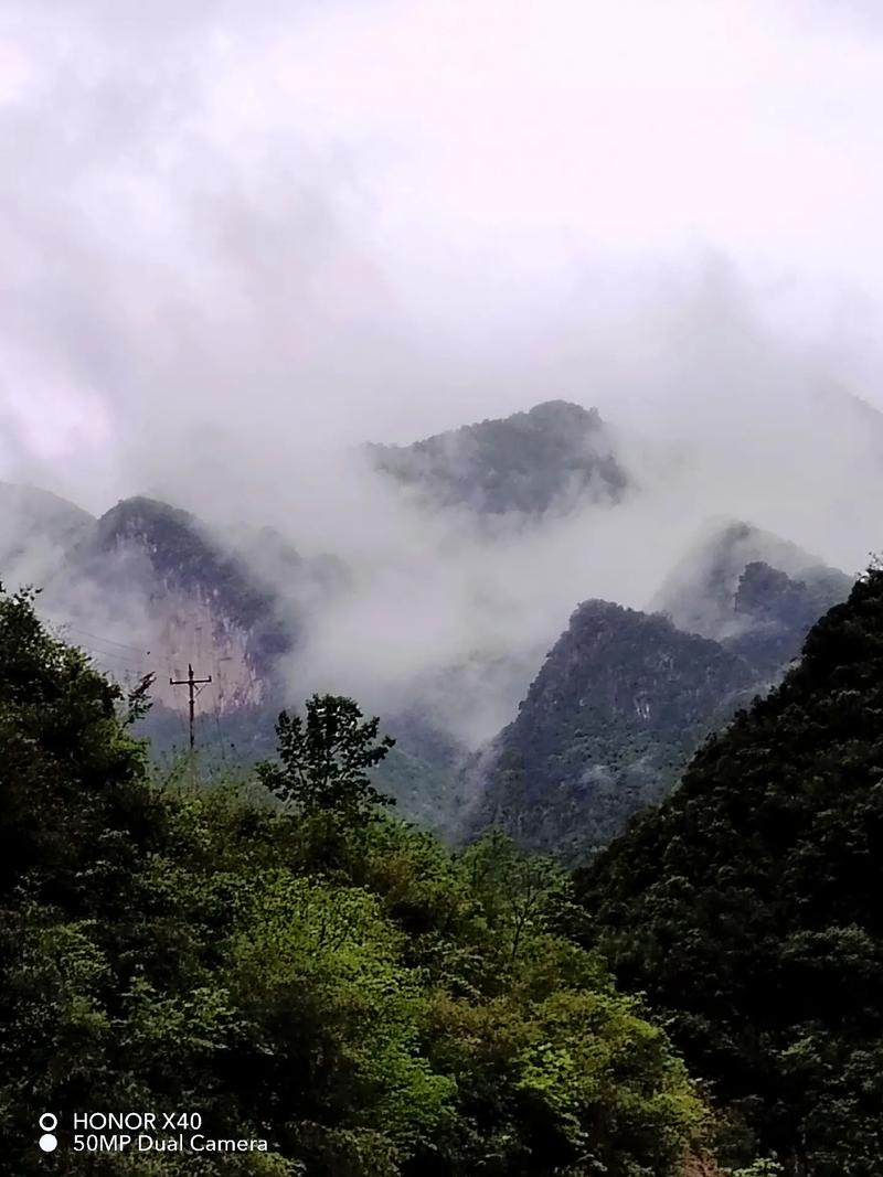 雾中山旅游景区-图1