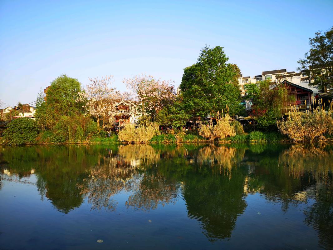 郫县风景区-图3