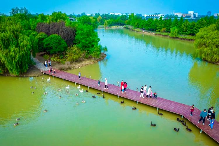 台儿庄双龙湖景区-图3