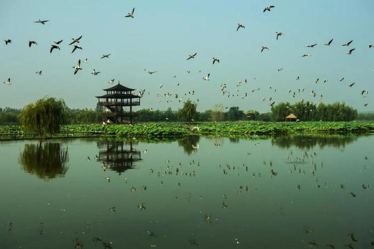 台儿庄双龙湖景区-图2