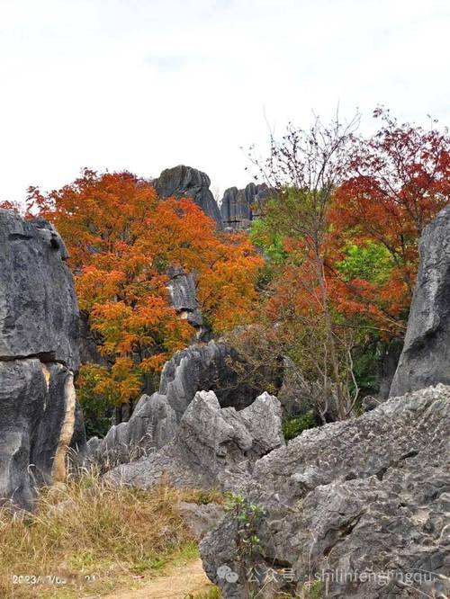 石柱林风景区-图2