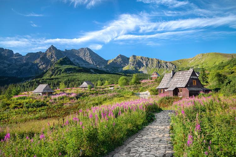 灵寿漫山花溪谷景区-图2