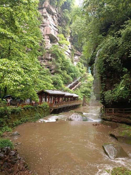 成都碧峰峡景区-图1